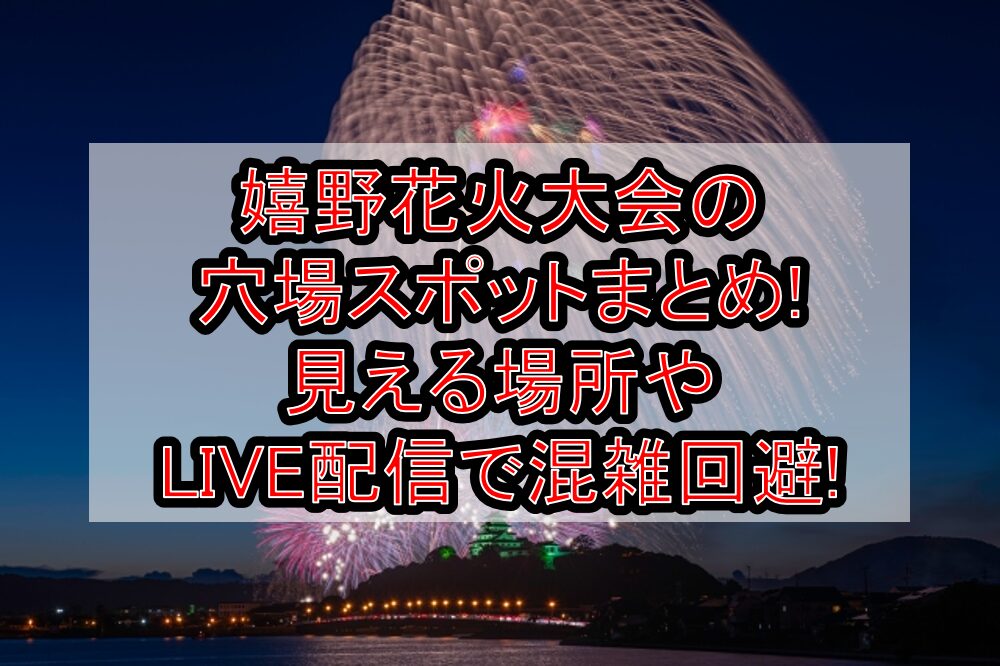 嬉野花火大会2025の穴場スポットまとめ!見える場所やLIVE配信で混雑回避!