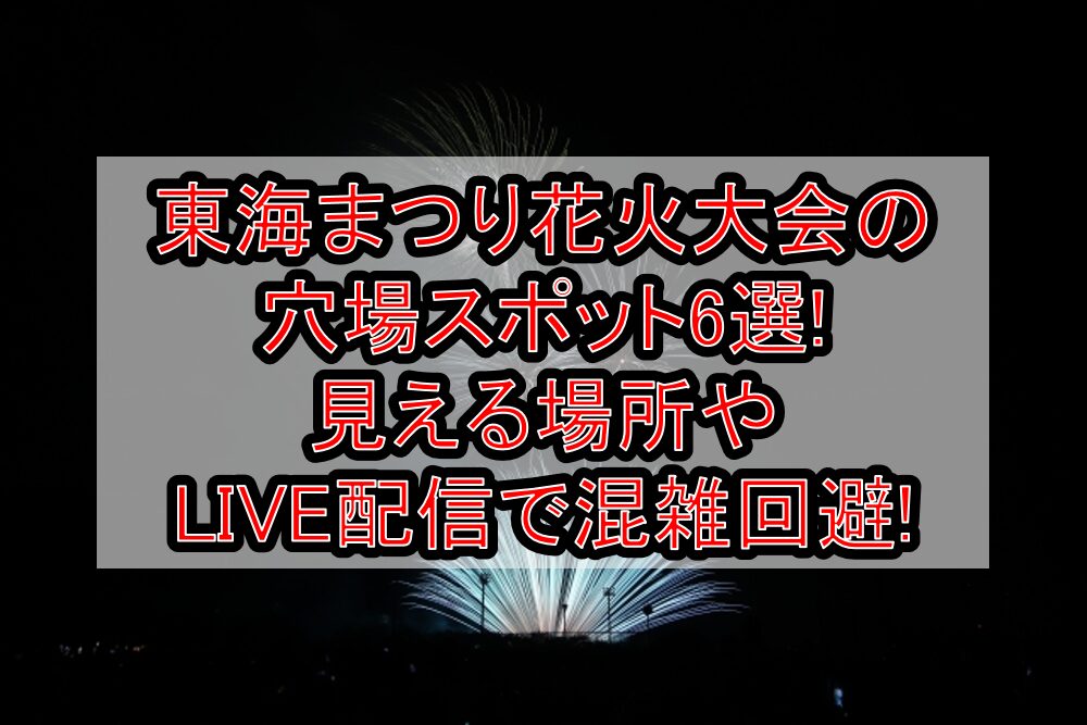 東海まつり花火大会2025の穴場スポット6選!見える場所やLIVE配信で混雑回避!