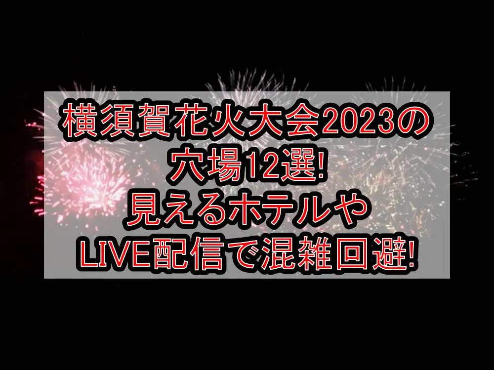 横須賀花火大会2023の穴場12選!見えるホテルやLIVE配信で混雑回避!
