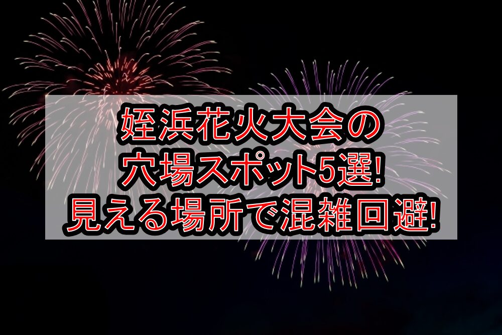 姪浜花火大会2025の穴場スポット5選!見える場所で混雑回避!