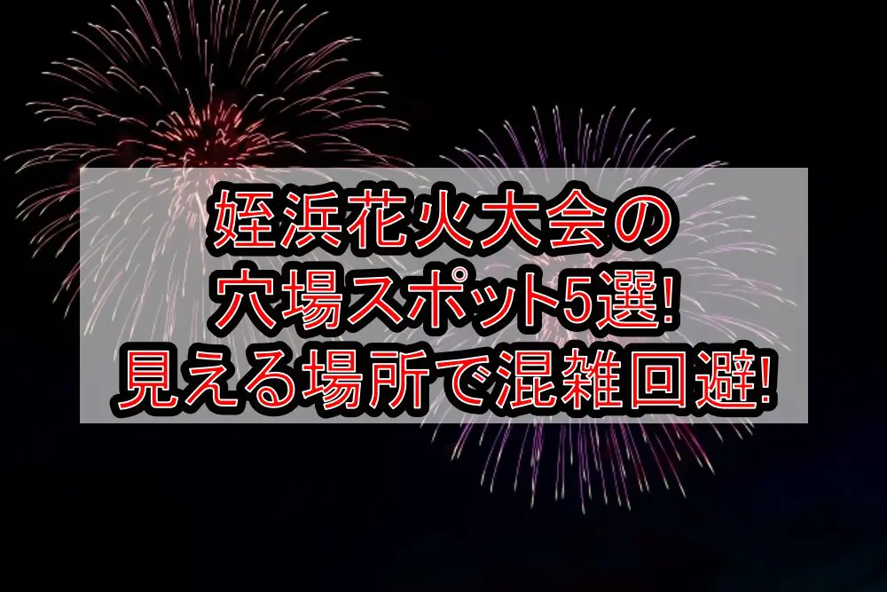 姪浜花火大会2024の穴場スポット5選!見える場所で混雑回避!