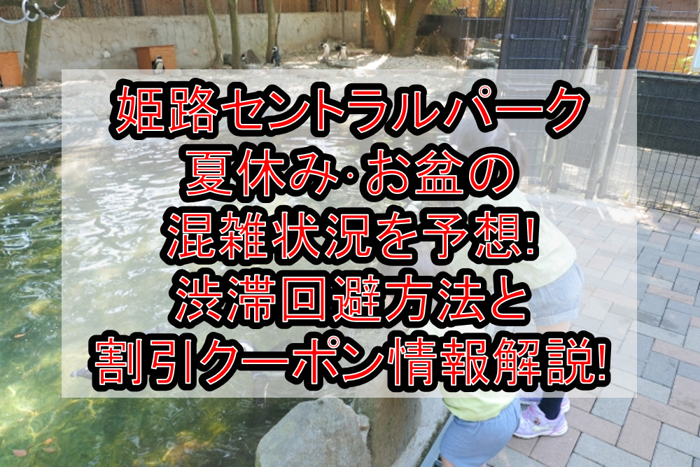 姫路セントラルパーク夏休み・お盆の混雑状況を予想!渋滞回避方法と割引クーポン情報も解説!