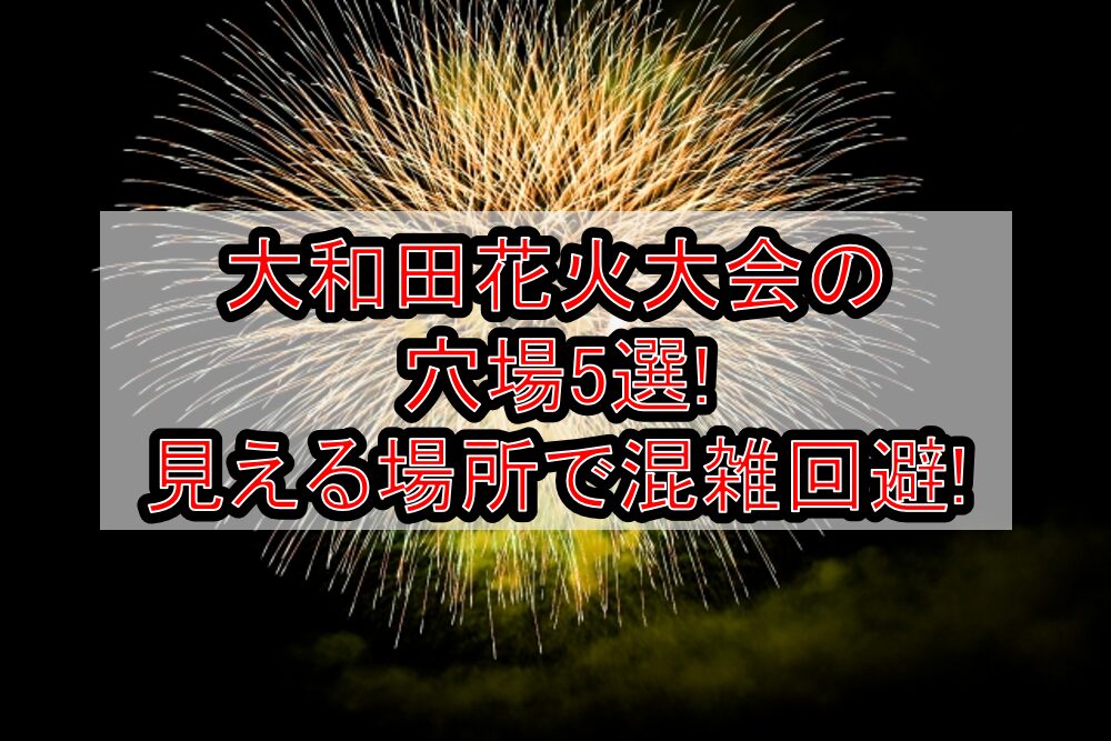 大和田花火大会2025の穴場5選!見える場所で混雑回避!