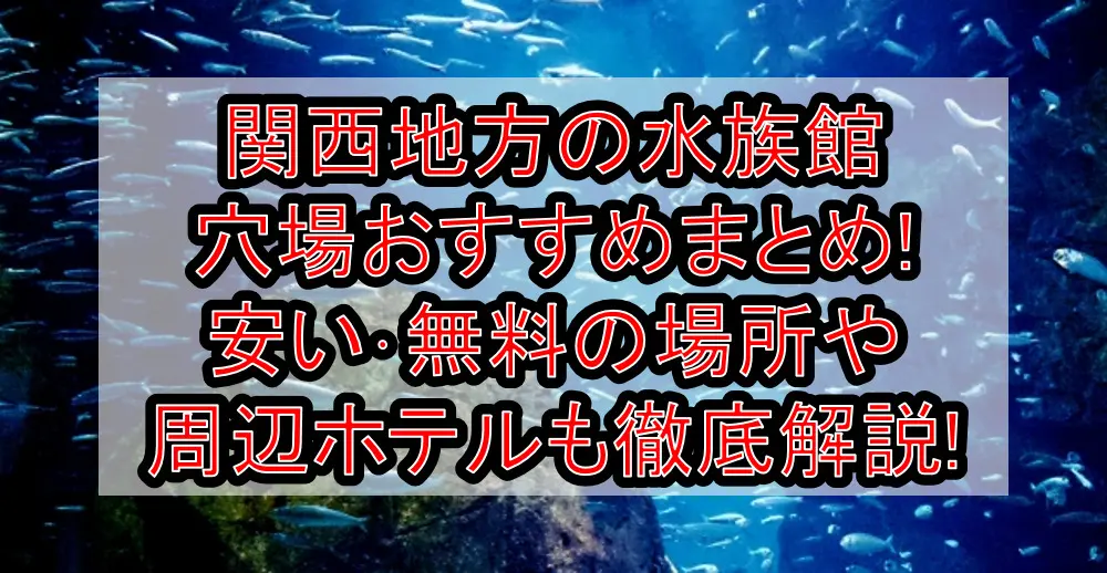 関西地方の水族館穴場おすすめまとめ!安い･無料の場所や周辺ホテルも徹底解説!