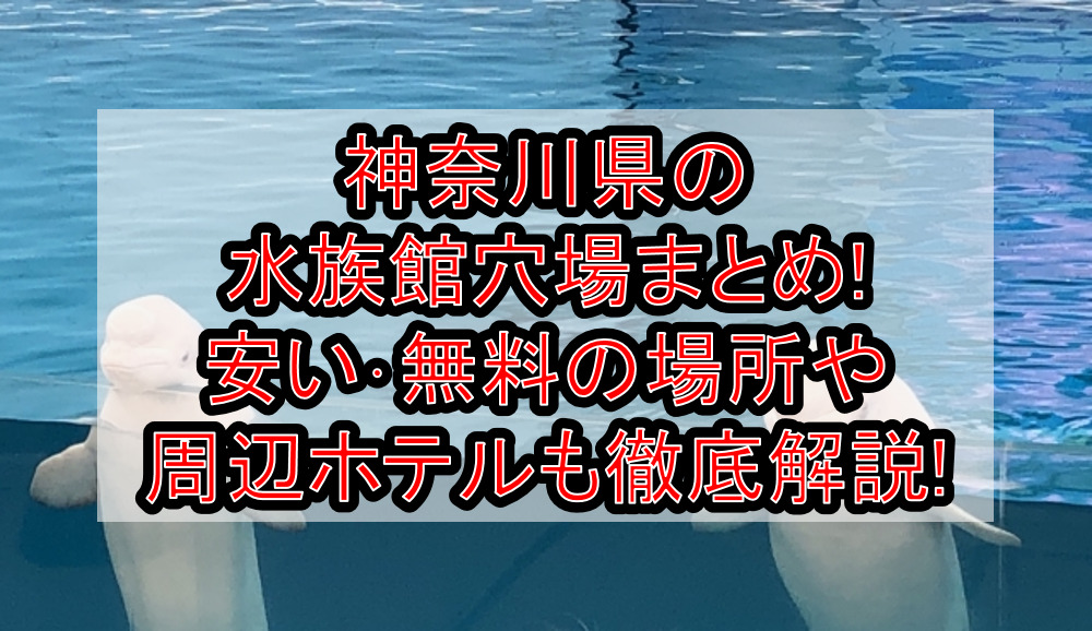 神奈川県の水族館穴場まとめ!安い･無料の場所や周辺ホテルも徹底解説!
