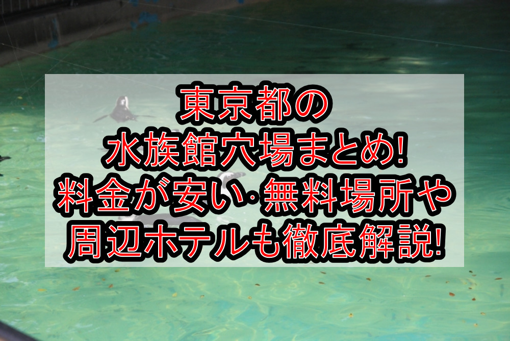 東京都の水族館穴場まとめ!料金が安い･無料の場所や周辺ホテルも徹底解説!