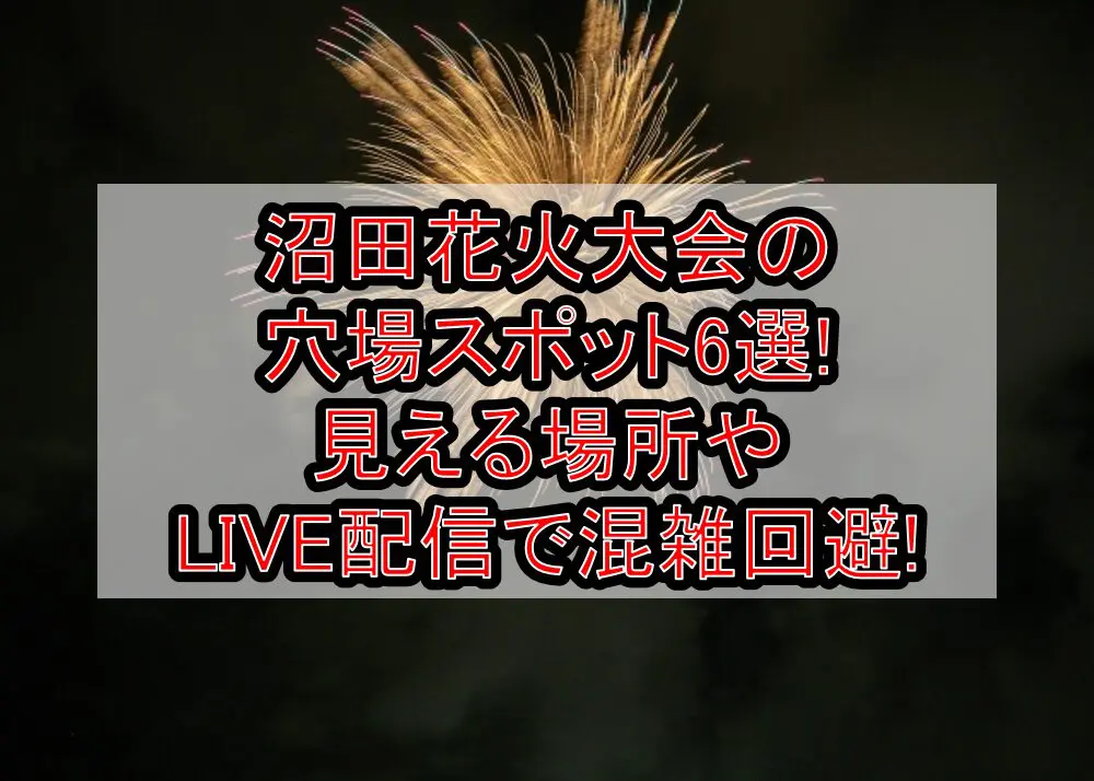 沼田花火大会2024の穴場スポット6選!見える場所やLIVE配信で混雑回避!