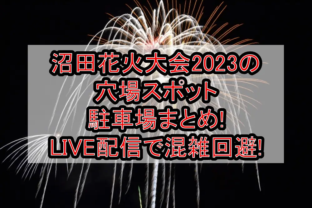 沼田花火大会2023の穴場スポット･駐車場まとめ!LIVE配信で混雑回避!