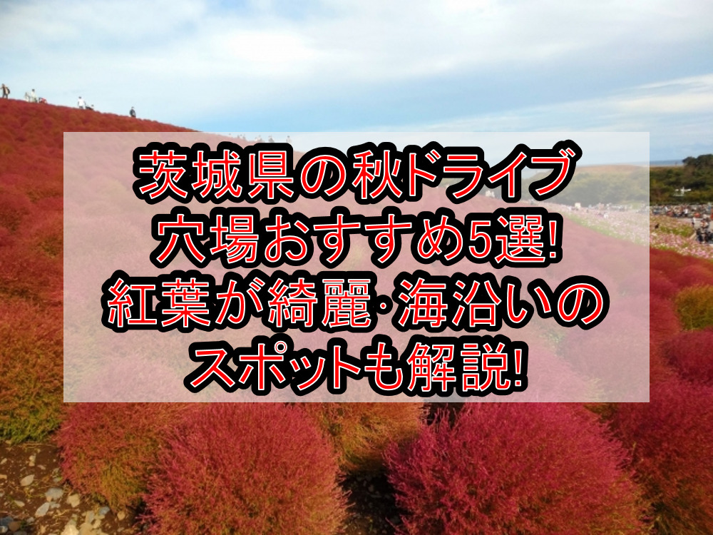 茨城県の秋ドライブ穴場おすすめ5選!紅葉が綺麗･海沿いのスポットも解説!