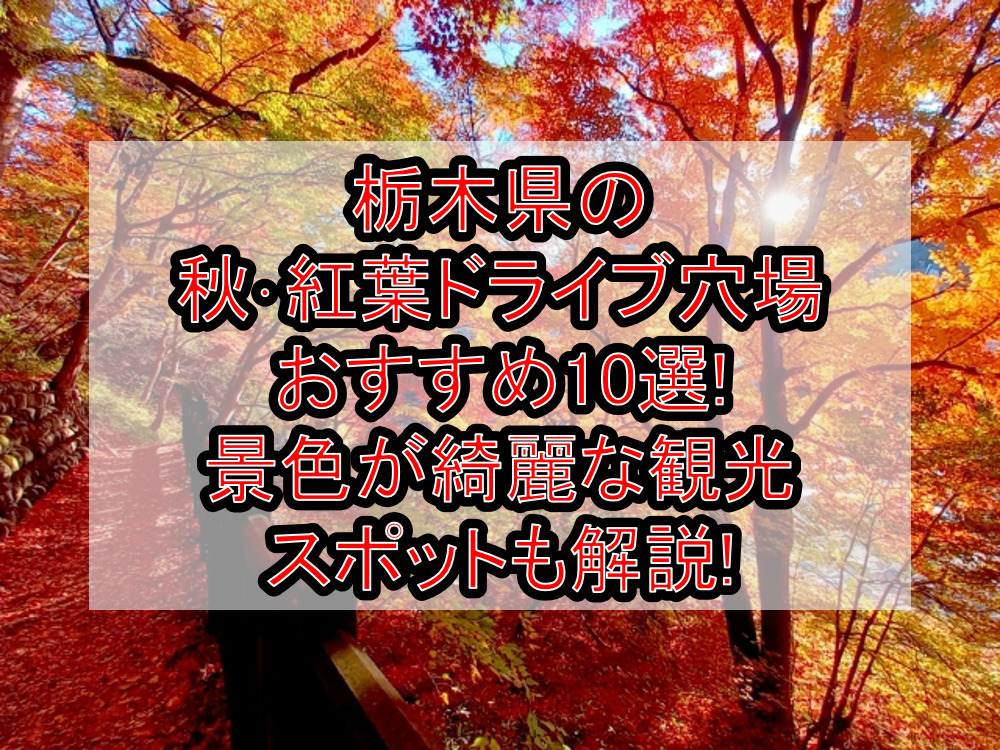 栃木県の秋･紅葉ドライブ穴場おすすめ10選!景色が綺麗な観光スポットも解説!
