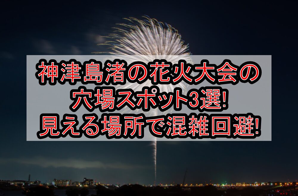 神津島渚の花火大会2025の穴場スポット3選!見える場所で混雑回避!