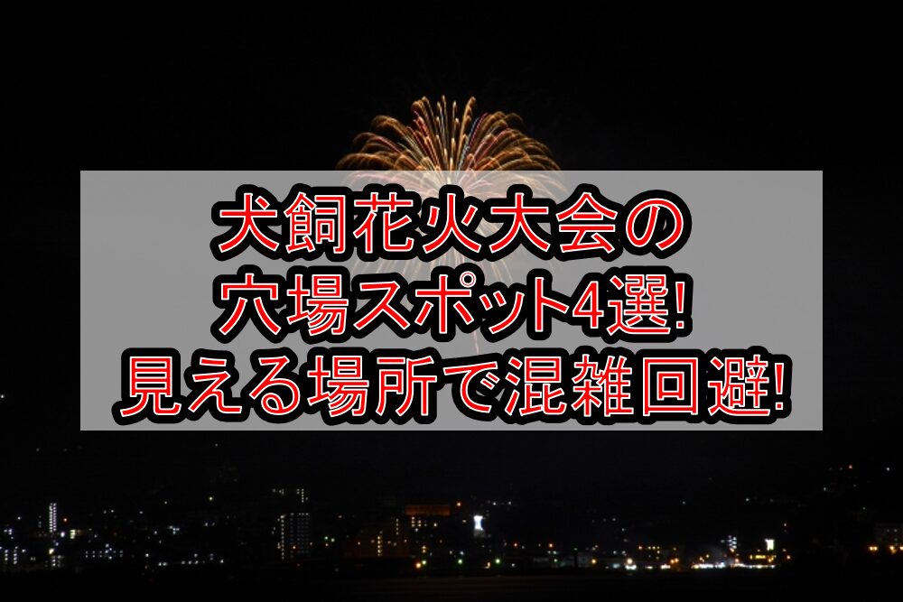 犬飼花火大会2025の穴場スポット4選!見える場所で混雑回避!