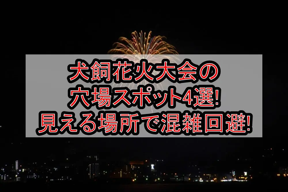 犬飼花火大会2024の穴場スポット4選!見える場所で混雑回避!