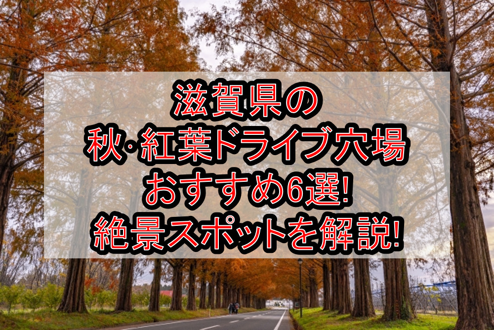 滋賀県の秋･紅葉ドライブ穴場おすすめ6選!絶景スポットを解説!