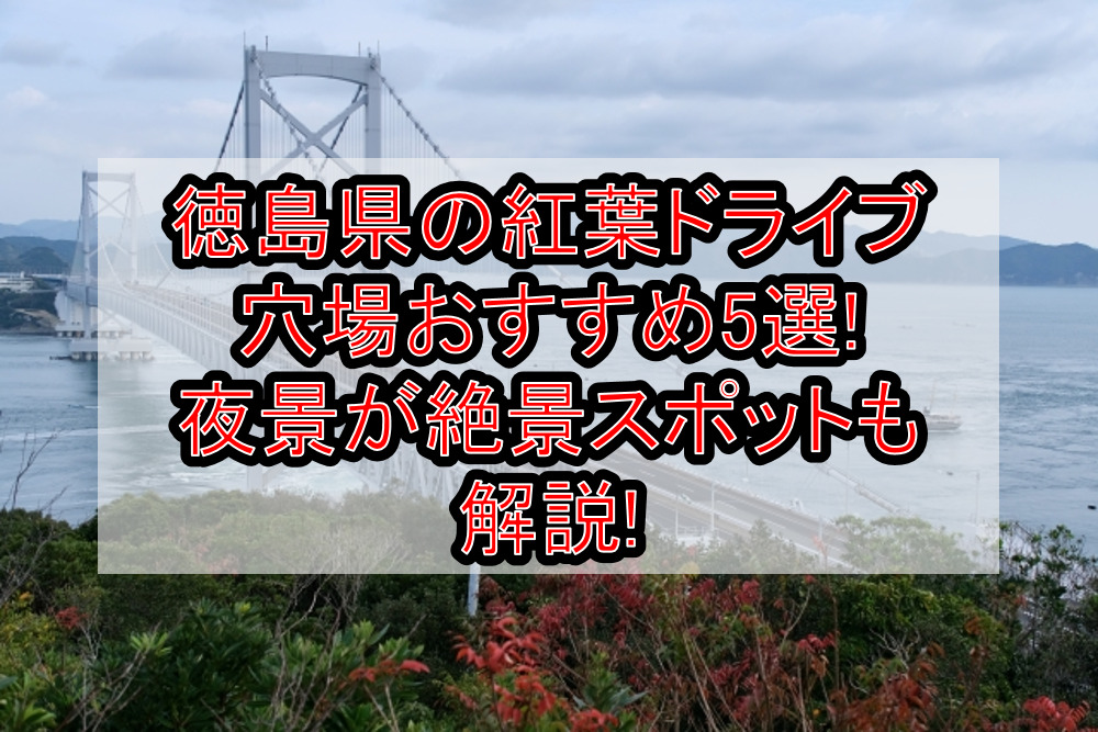 徳島県の紅葉ドライブ穴場おすすめ5選!夜景が絶景スポットも解説!