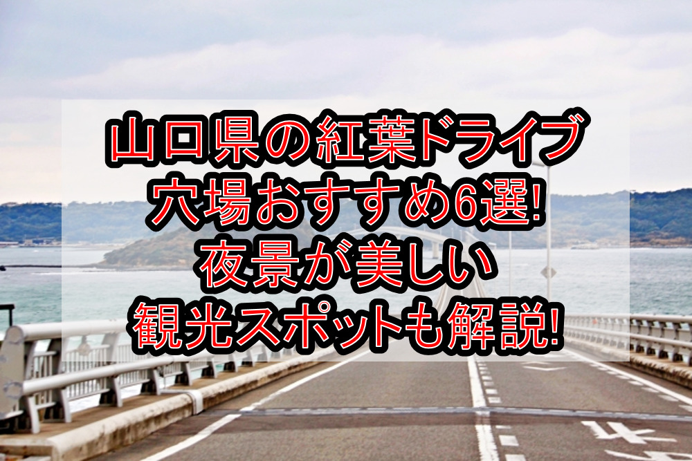 山口県の紅葉ドライブ穴場おすすめ6選!夜景が美しい観光スポットも解説!