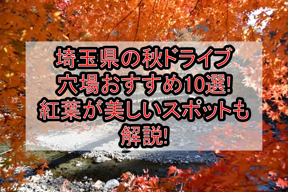 埼玉県の秋ドライブ穴場おすすめ10選!紅葉が美しいスポットも解説!