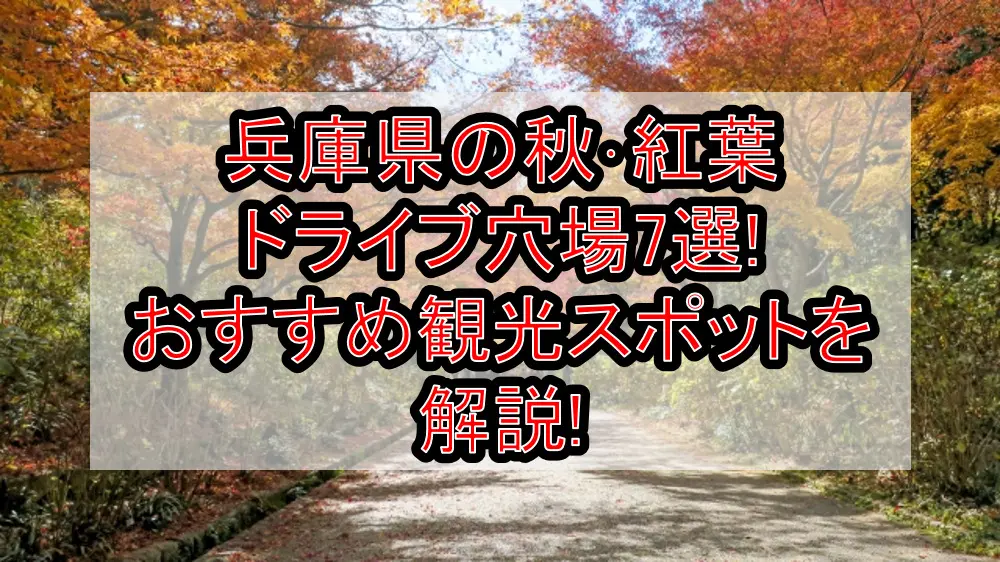 兵庫県の秋･紅葉ドライブ穴場7選!おすすめ観光スポットを解説!