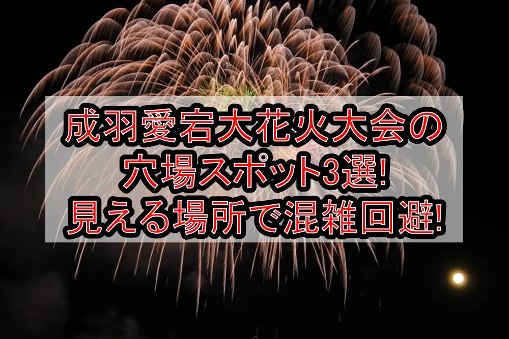 成羽愛宕大花火大会2024の穴場スポット3選!見える場所で混雑回避!