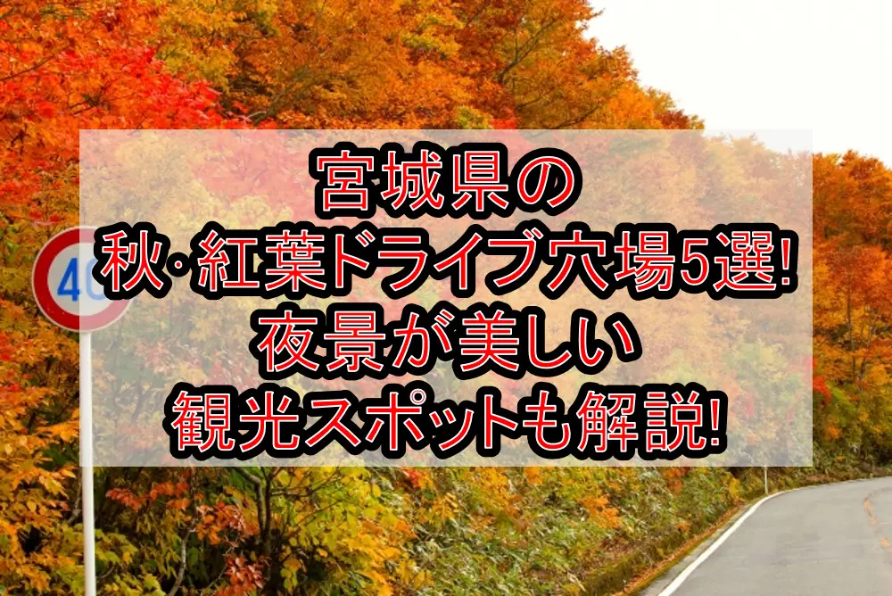 宮城県の秋･紅葉ドライブ穴場5選!夜景が美しい観光スポットも解説!
