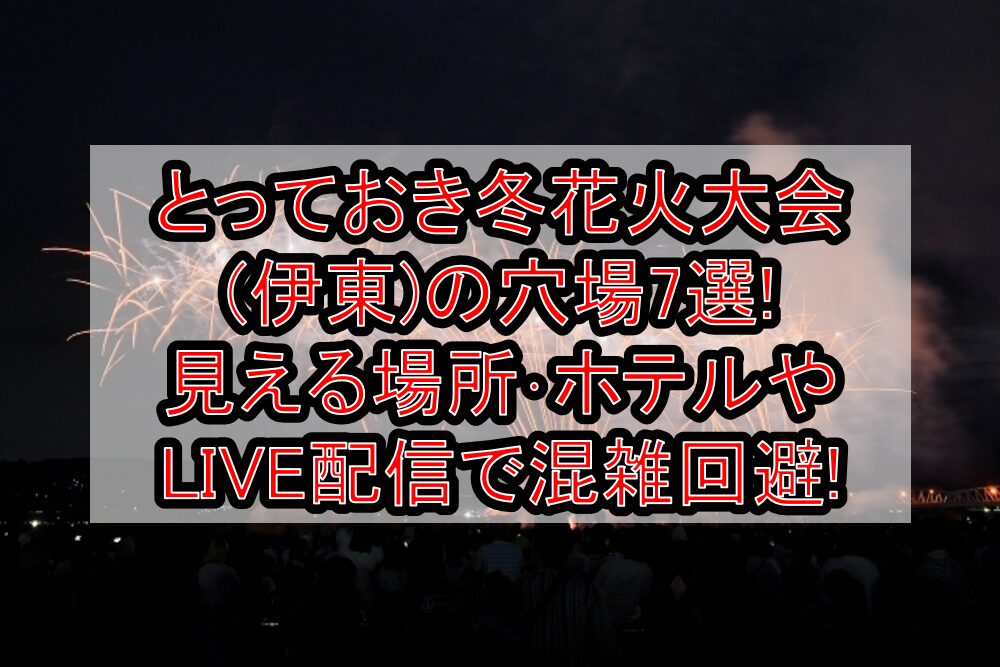 とっておき冬花火大会(伊東)2025の穴場7選!見える場所・ホテルやLIVE配信で混雑回避!