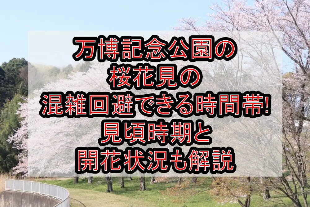 万博記念公園の桜花見2024の混雑回避できる時間帯!見頃時期と開花状況も解説