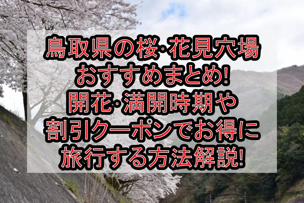 鳥取県の桜･花見穴場おすすめまとめ!2024開花･満開時期や割引クーポンでお得に旅行する方法解説!