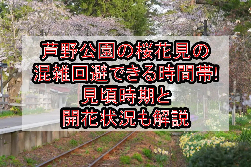 芦野公園の桜花見2024の混雑回避できる時間帯!見頃時期と開花状況も解説