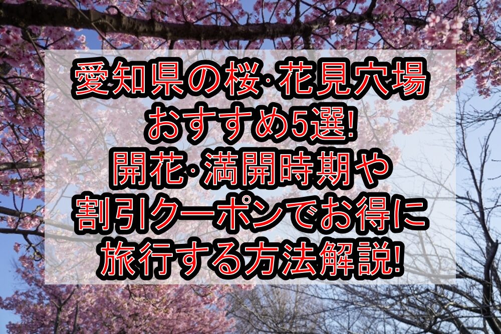 愛知県の桜・花見穴場おすすめ5選!2025開花・満開時期や割引クーポンでお得に旅行する方法解説!
