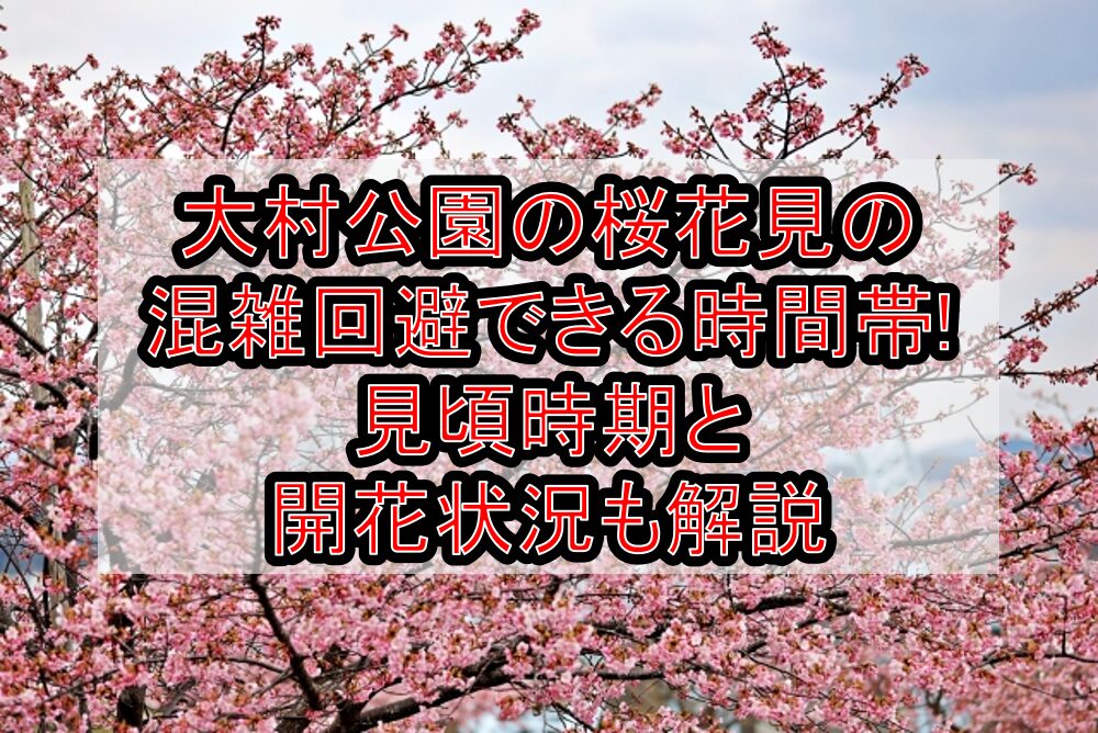 大村公園の桜花見2025の混雑回避できる時間帯!見頃時期と開花状況も解説