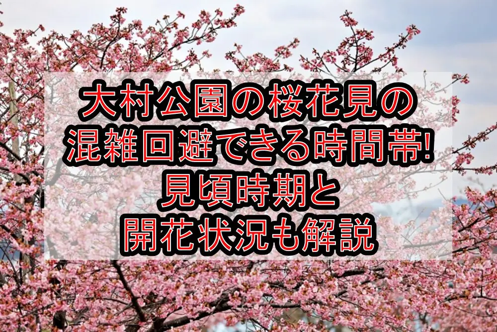 大村公園の桜花見2024の混雑回避できる時間帯!見頃時期と開花状況も解説