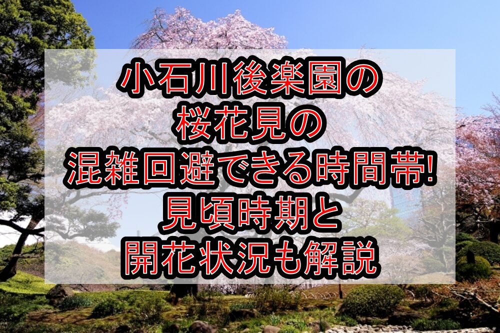 小石川後楽園の桜花見2025の混雑回避できる時間帯!見頃時期と開花状況も解説