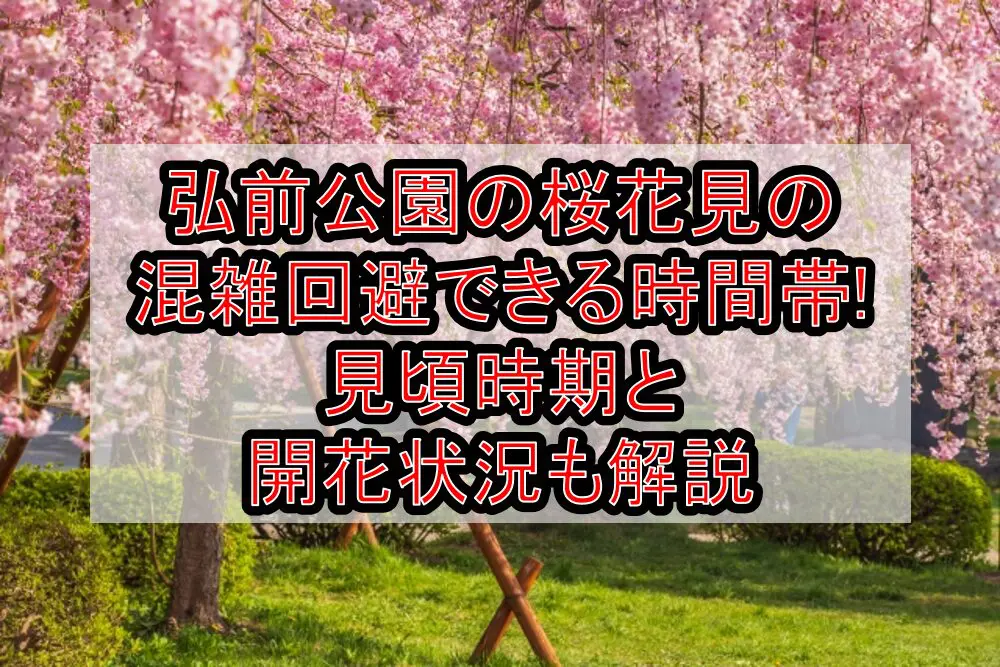 弘前公園の桜花見2024の混雑回避できる時間帯!見頃時期と開花状況も解説