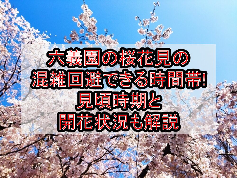 六義園の桜花見2025の混雑回避できる時間帯!見頃時期と開花状況も解説