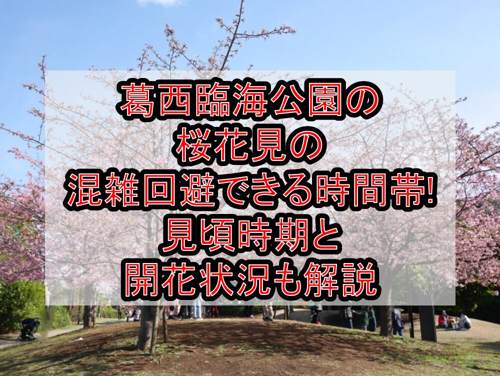 葛西臨海公園の桜花見2024の混雑回避できる時間帯!見頃時期と開花状況も解説