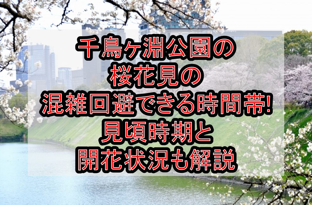 千鳥ヶ淵公園の桜花見2025の混雑回避できる時間帯!見頃時期と開花状況も解説
