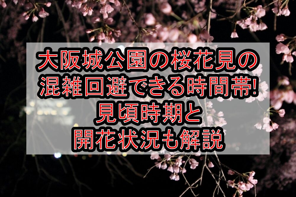 大阪城公園の桜花見2024の混雑回避できる時間帯!見頃時期と開花状況も解説