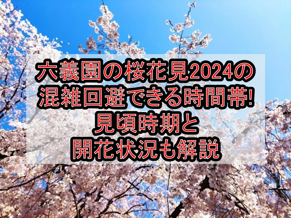 六義園の桜花見2024の混雑回避できる時間帯!見頃時期と開花状況も解説