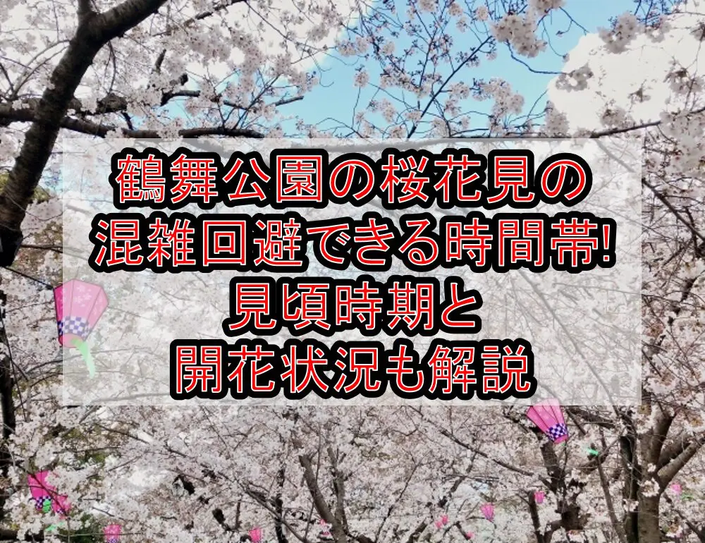 鶴舞公園の桜花見2024の混雑回避できる時間帯!見頃時期と開花状況も解説
