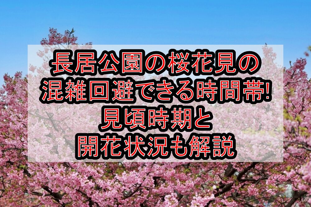 長居公園の桜花見2025の混雑回避できる時間帯!見頃時期と開花状況も解説