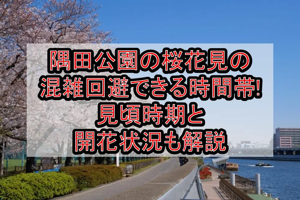隅田公園の桜花見2024の混雑回避できる時間帯!見頃時期と開花状況も解説