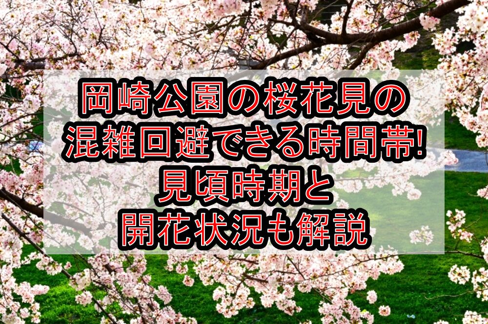 岡崎公園の桜花見2025の混雑回避できる時間帯!見頃時期と開花状況も解説