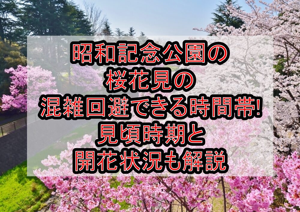 昭和記念公園の桜花見2025の混雑回避できる時間帯!見頃時期と開花状況も解説