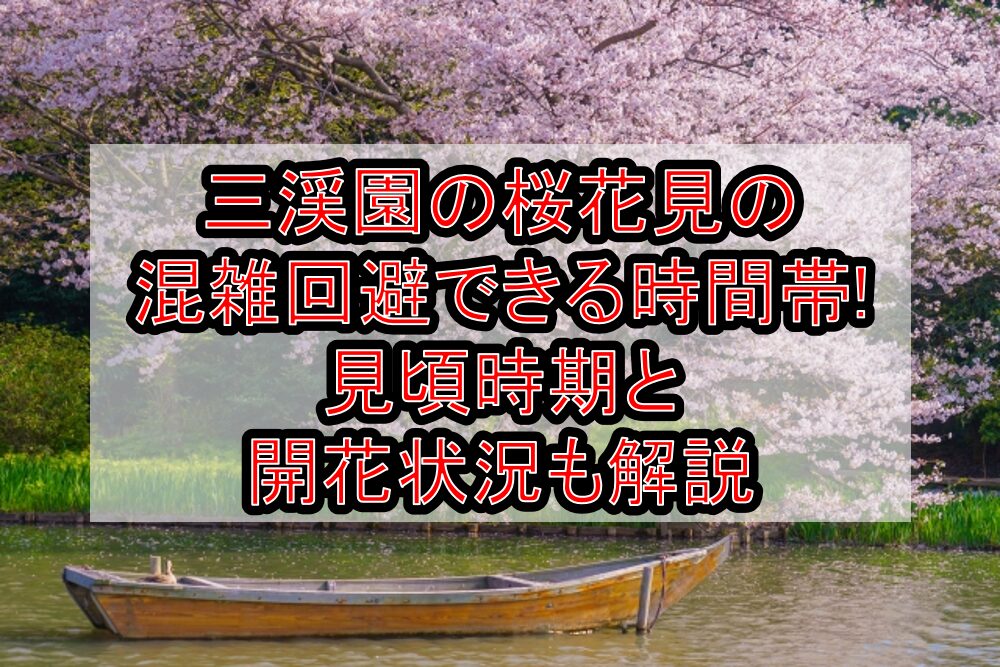 三渓園の桜花見2025の混雑回避できる時間帯!見頃時期と開花状況も解説