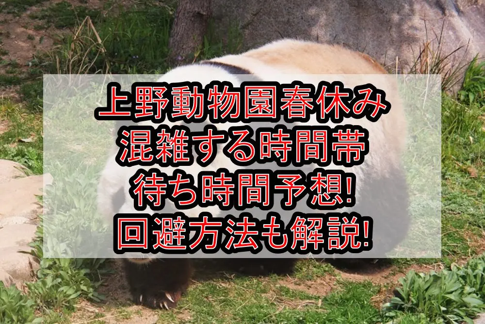 上野動物園春休み混雑する時間帯･待ち時間予想!回避方法も解説!