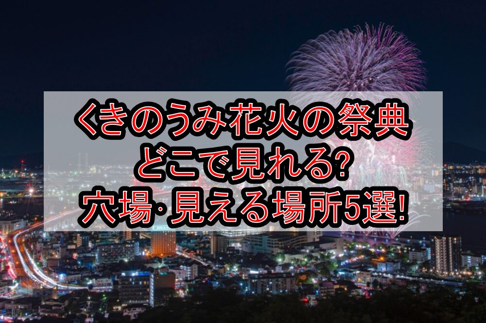 くきのうみ花火の祭典2025どこで見れる?穴場･見える場所5選!