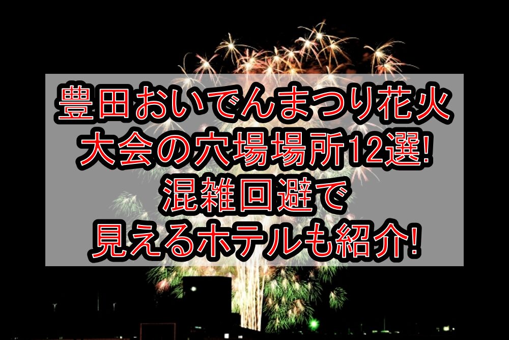 豊田おいでんまつり花火大会2025の穴場場所12選!混雑回避で見えるホテルも紹介!