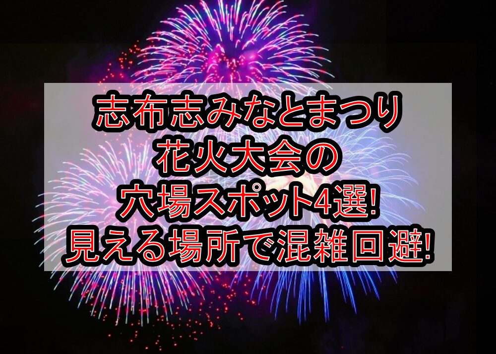 志布志みなとまつり花火大会2025の穴場スポット4選!見える場所で混雑回避!