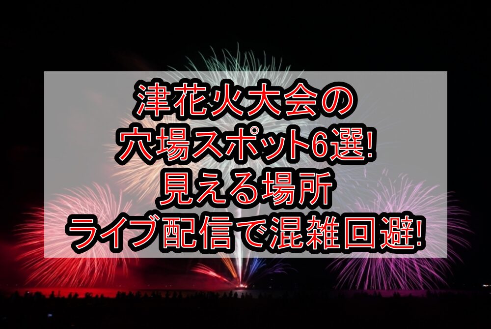 津花火大会2025の穴場スポット6選!見える場所･ライブ配信で混雑回避!
