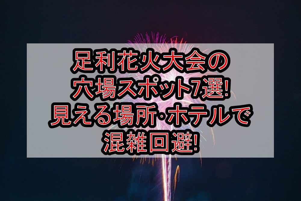 足利花火大会2025の穴場スポット7選!見える場所･ホテルで混雑回避!